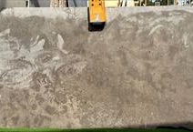 Fossil Gris