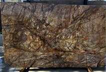 Rainforest Brown