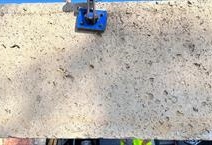 Shell Stone