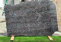 Black Plum