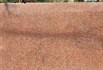Balmoral Red